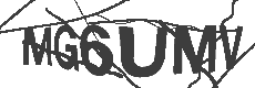 authimage
