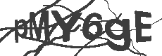 authimage